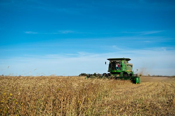 prairiesongs01905