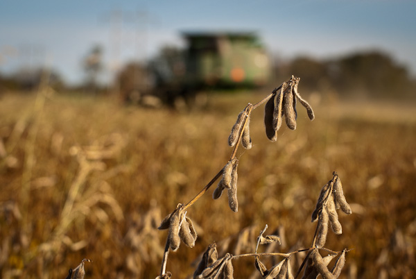 prairiesongs02004
