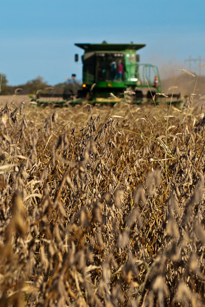 prairiesongs02055